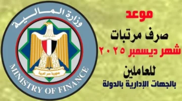 وزارة المالية تُوضح.. موعد صرف مرتبات شهر ديسمبر 2025 في مصر للعاملين بقطاعات الدولة وآليه الصرف